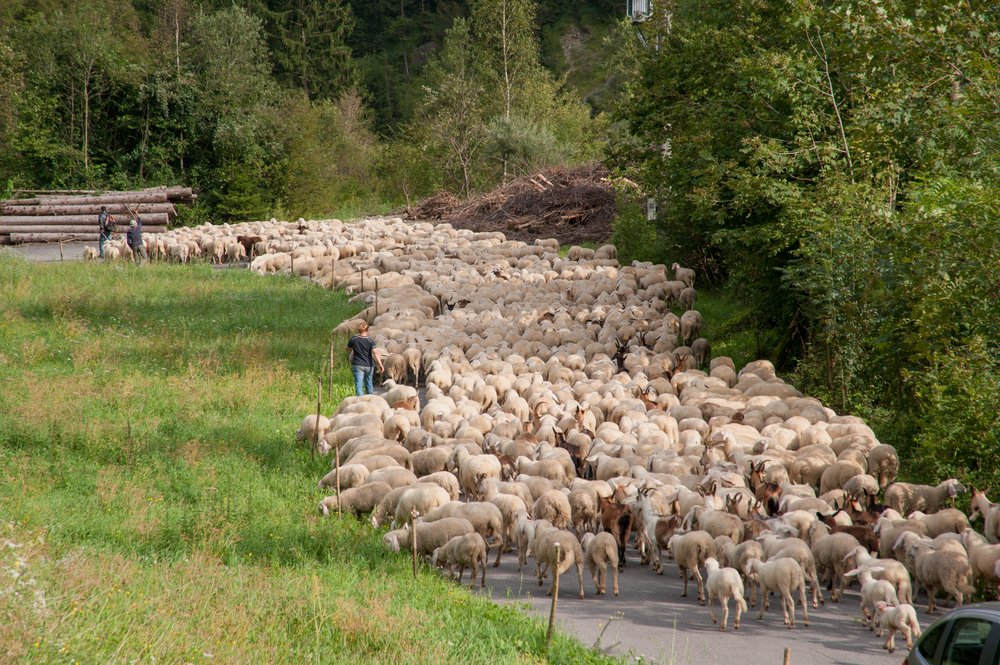 Caminos de la Merina