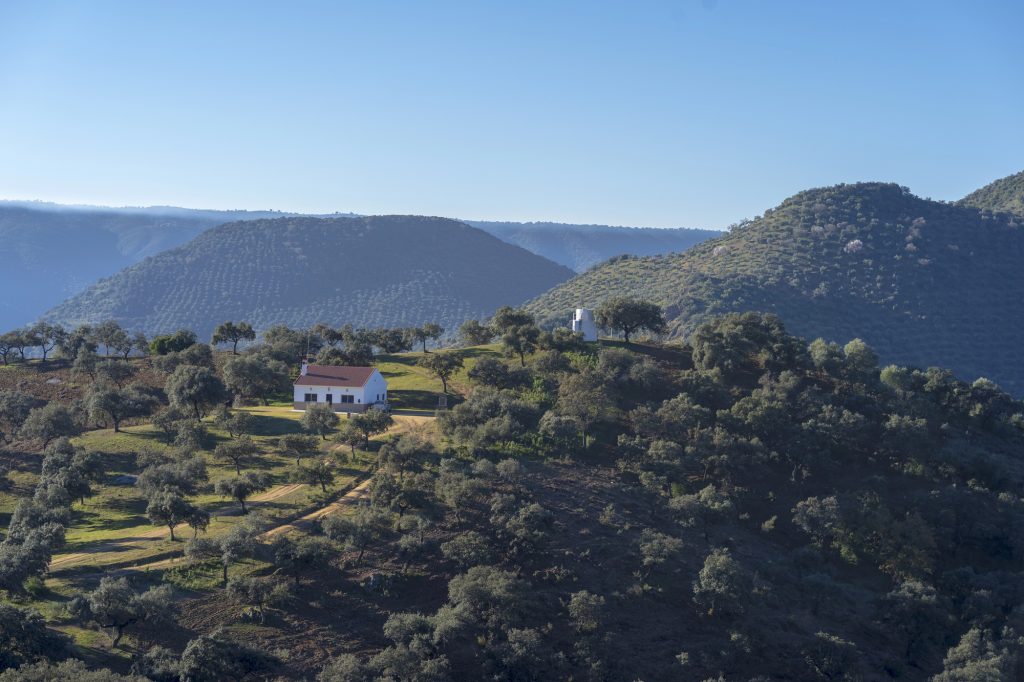 Vista de Sierra Morena, etapa final de la oveja merina desde La Rioja. - Foto: Depositphotos