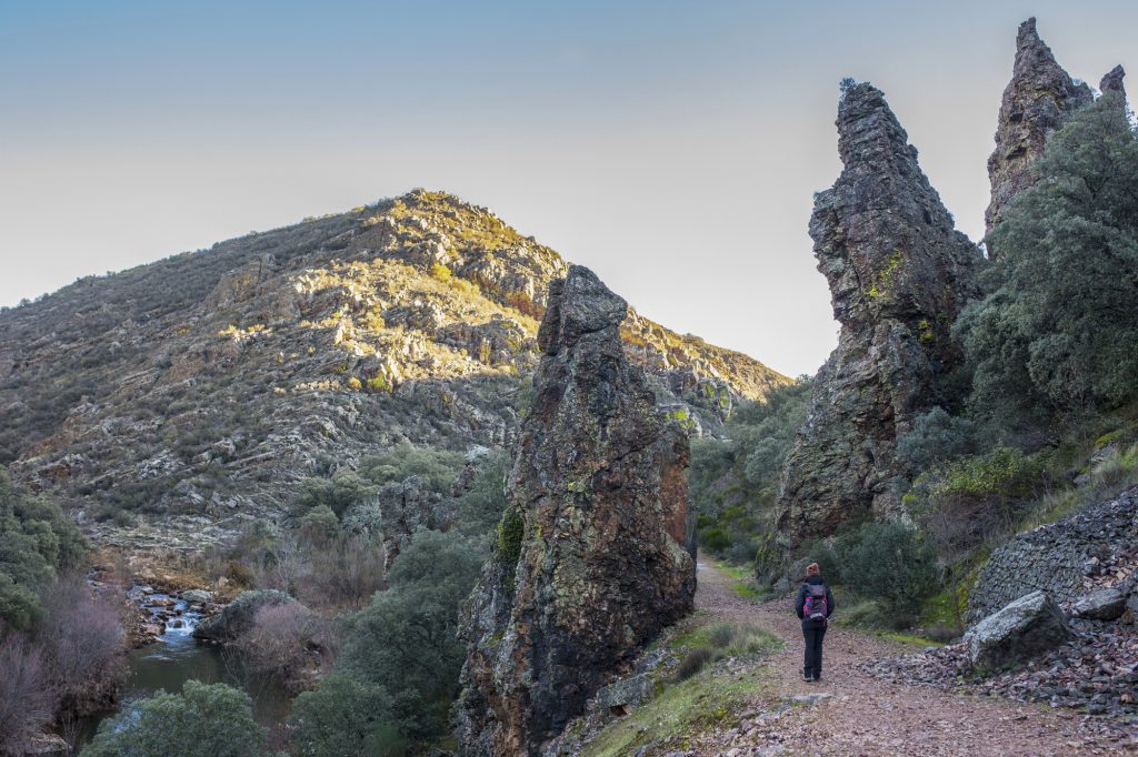 Uno de los caminos donde se puede practicar el senderismo en el Parque Nacional de Cabañeros. - Foto: Depositphotos
