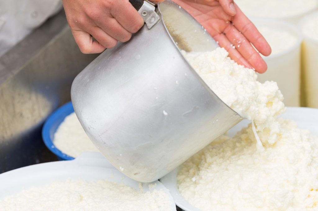 Proceso de elaboración del queso. - Foto: Depositphotos