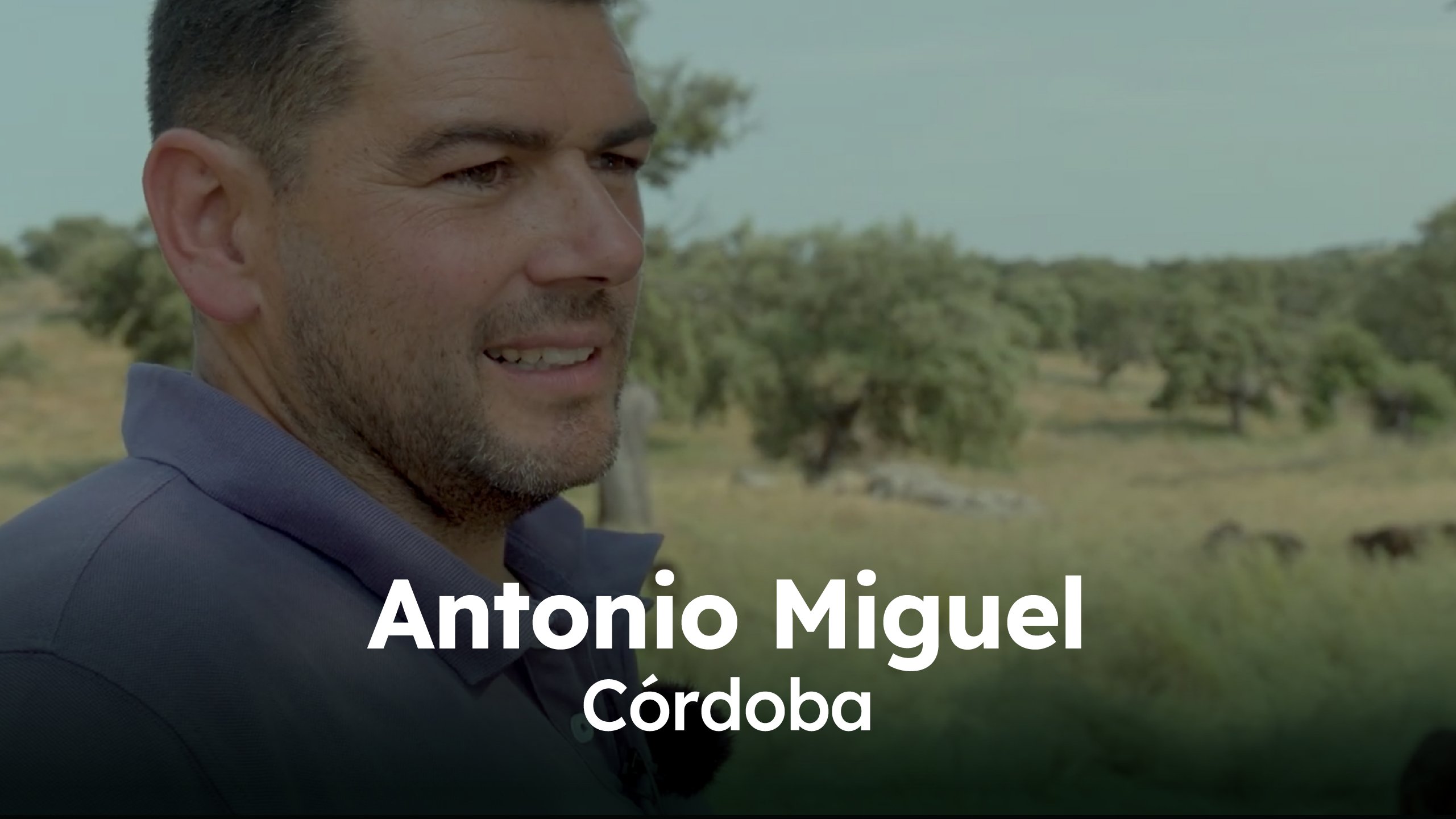 Ganadería Antonio Miguel