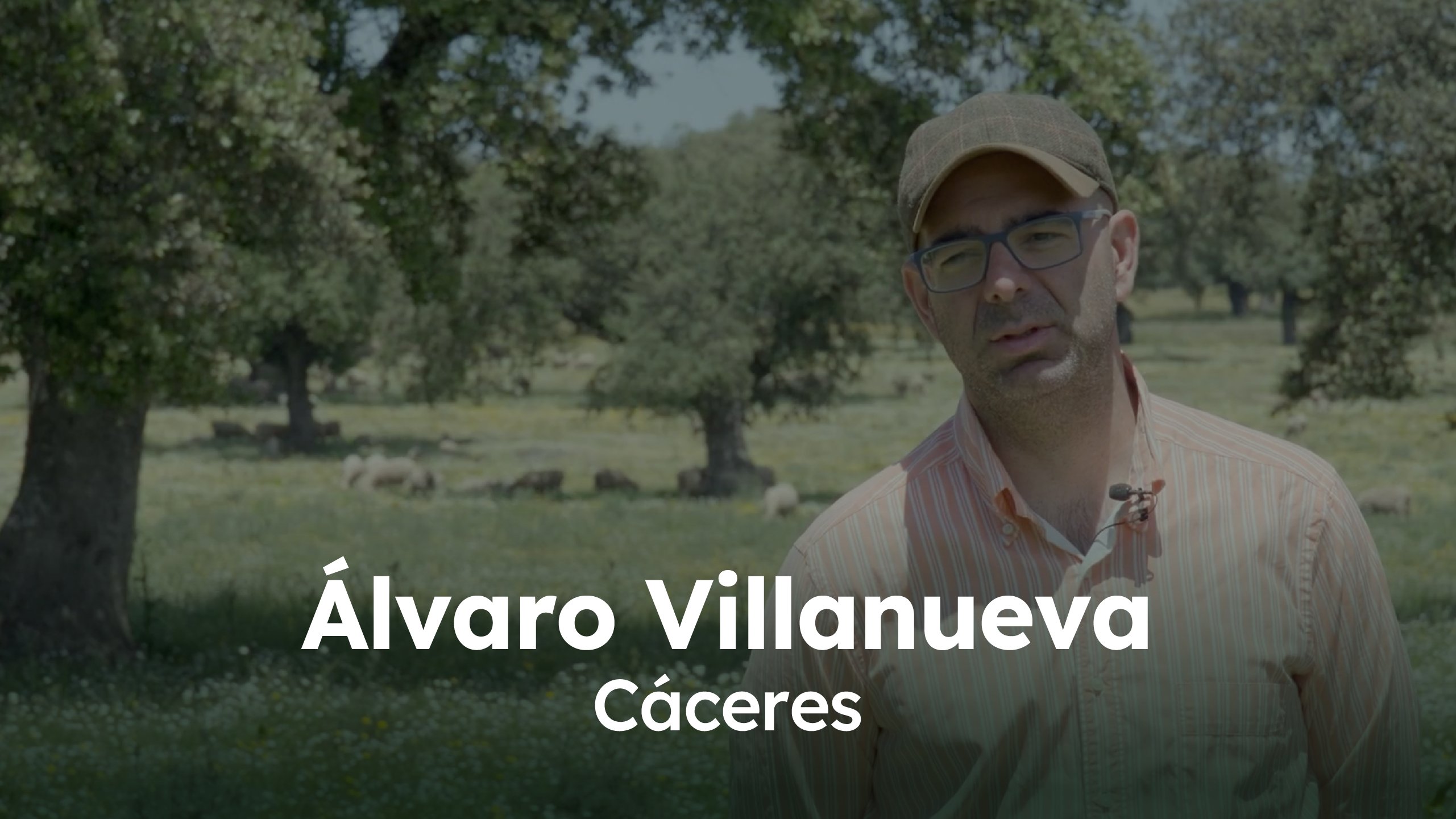 Ganadería Álvaro Villanueva