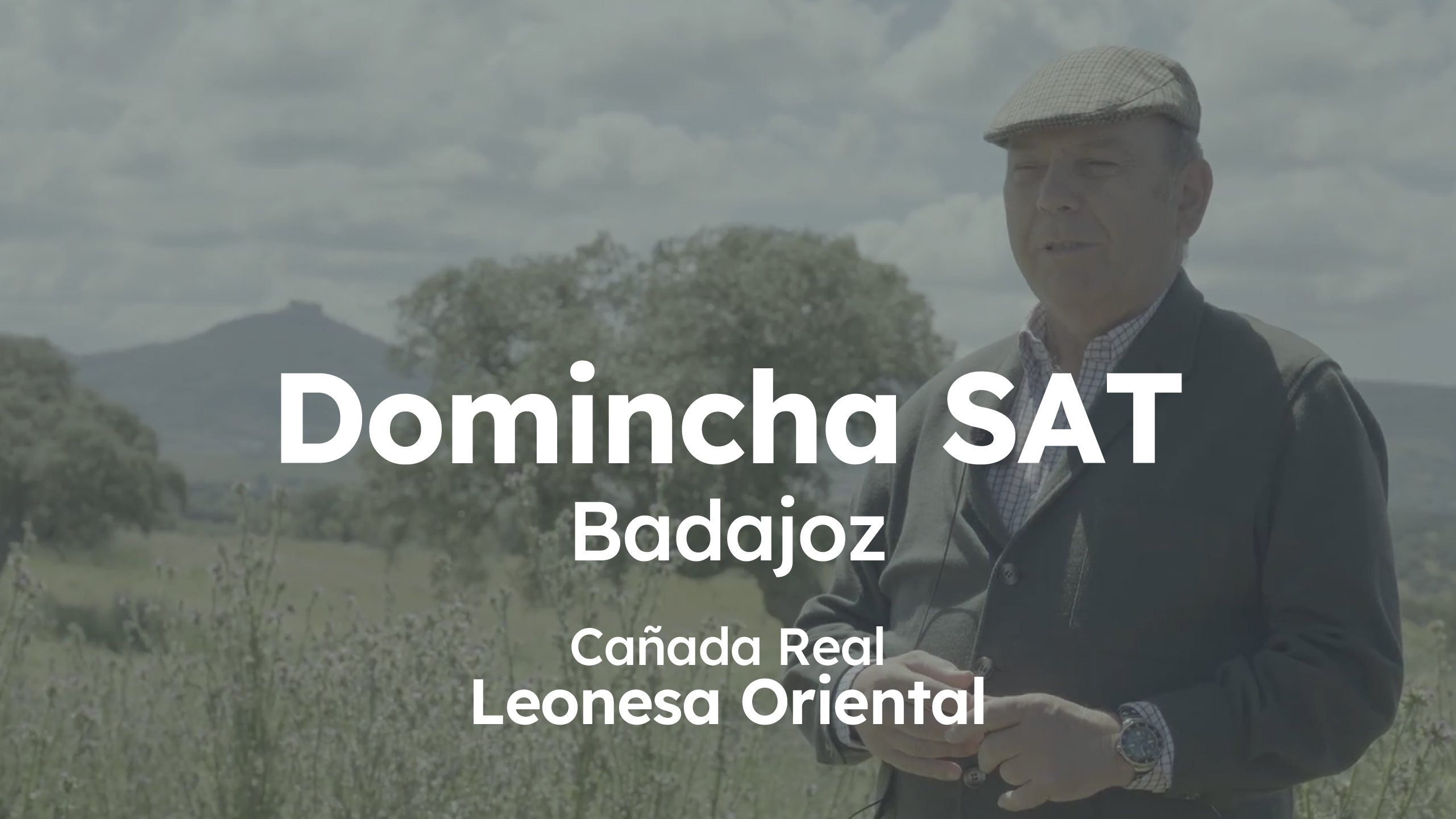 Ganadería Domincha SAT