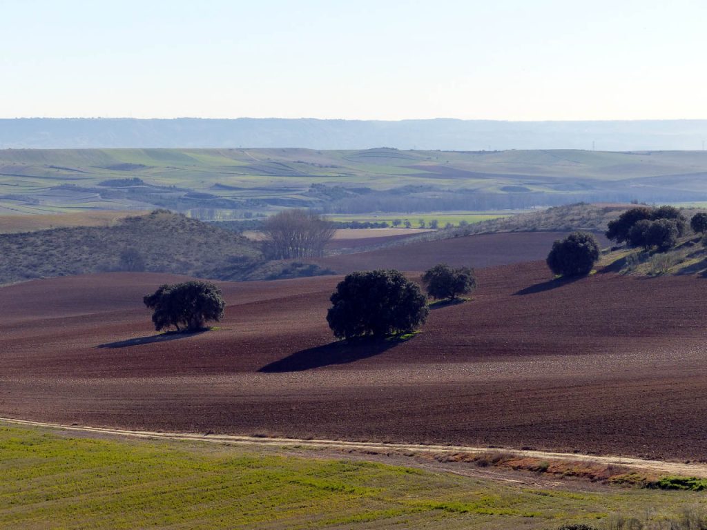 Cañada Real Galiana