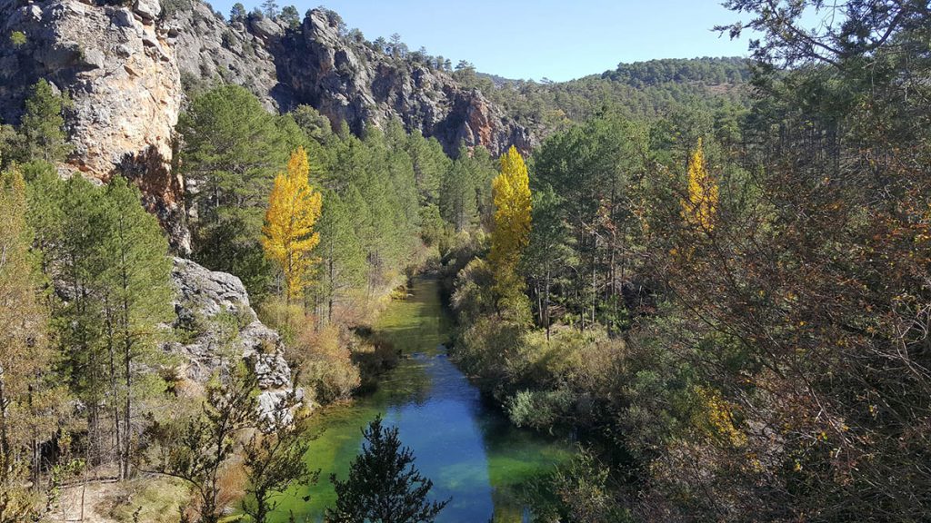 Parque Natural del Alto Tajo